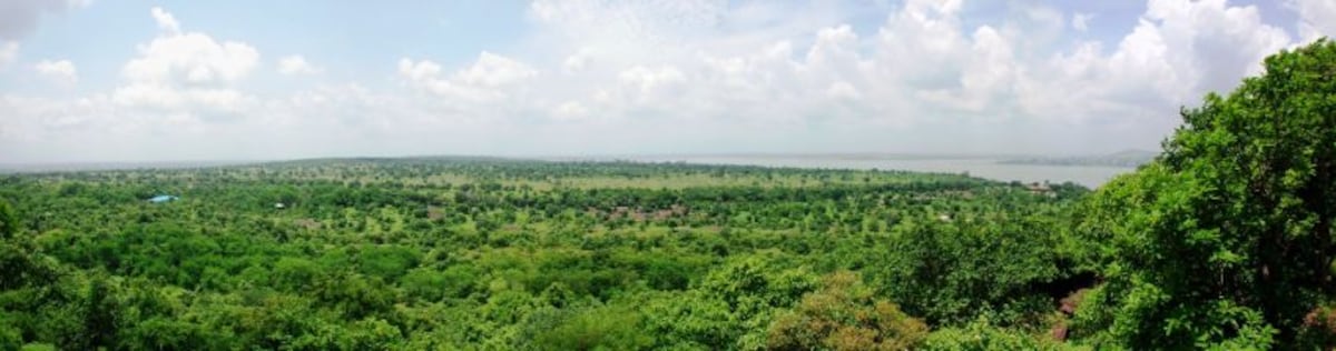 Manali Van Vihar National Park Landscape Image